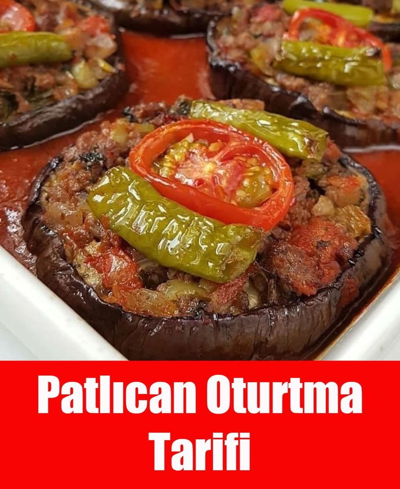 Patlıcan Oturtma - 1