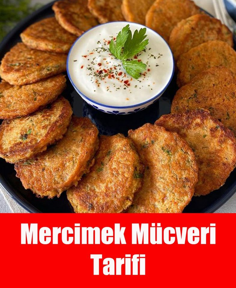 Mercimek Mücveri - 1